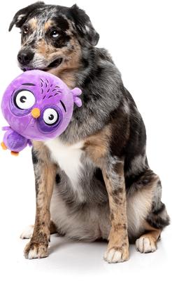 Show full view: FuzzYard Hoo-Dini Squeaky Plush Dog Toy, Purple slide 2 of 5