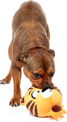 Show full view: FuzzYard Roarnaldo Squeaky Plush Dog Toy, Orange slide 4 of 6