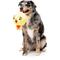 Show in main carousel: FuzzYard Hen Diesel Squeaky Plush Dog Toy, Yellow slide 2 of 5