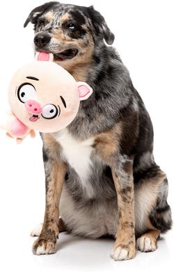 Show full view: FuzzYard Snoop Hogg Squeaky Plush Dog Toy, Pink slide 4 of 5