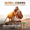 Show in main carousel: Nutri Chomps 4.5-inch Real Mint Flavored Candy Cane Shaped Hard Chew Dog Treats, 12 count slide 7 of 8