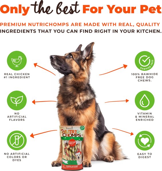 Show full view: Nutri Chomps 4.5-inch Real Mint Flavored Candy Cane Shaped Hard Chew Dog Treats, 12 count slide 4 of 8
