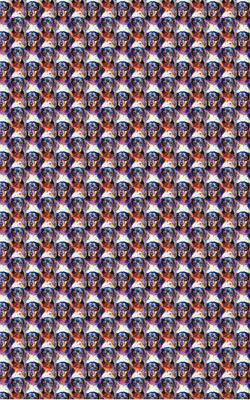 Show full view: London Penny The Dashing Dachshund Wrapping Paper, Glossy, 15-ft roll slide 5 of 5