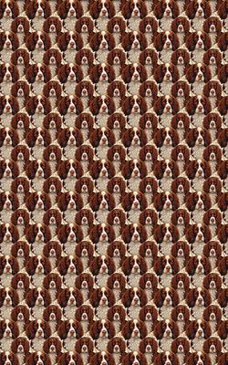Show full view: London Penny Paw Prints & Springer Sprints Wrapping Paper, Glossy, 6-ft roll slide 3 of 4