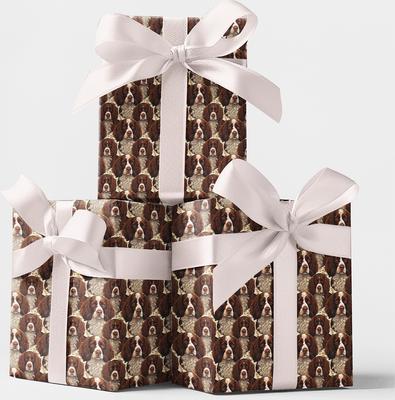 Show full view: London Penny Paw Prints & Springer Sprints Wrapping Paper, Matte, 15-ft roll slide 3 of 4