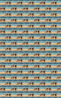 Show full view: London Penny Seaside Doodle Dash Wrapping Paper, Glossy, 6-ft roll slide 5 of 5