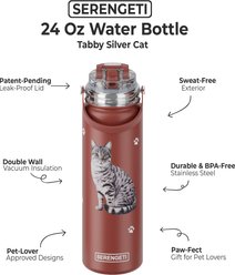 E&S PETS Tabby Silver Stainless Steel Water Bottle, 24-oz, Red slide 2 of 4