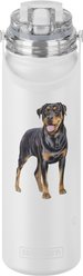 E&S PETS Rottweiler Stainless Steel Water Bottle, 24-oz, Cream