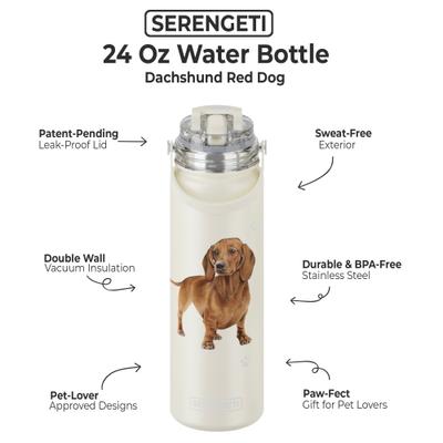 Show full view: E&S PETS Dachshund Stainless Steel Water Bottle, 24-oz, Cream slide 2 of 5