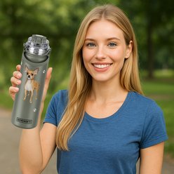 E&S PETS Chihuahua Stainless Steel Water Bottle, 24-oz, Green slide 2 of 4