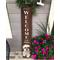 Show in main carousel: E&S PETS Shih Tzu Wooden Welcome Sign slide 4 of 6