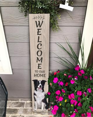 Show full view: E&S PETS Border Collie Wooden Welcome Sign slide 4 of 6