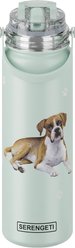 E&S PETS Boxer Stainless Steel Water Bottle, 24-oz, Teal