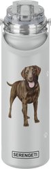 E&S PETS Chocolate Lab Stainless Steel Water Bottle, 24-oz, Gray