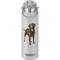 Show in main carousel: E&S PETS Chocolate Lab Stainless Steel Water Bottle, 24-oz, Gray slide 1 of 5