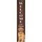 Show in main carousel: E&S PETS Golden Retriever Wooden Welcome Sign slide 1 of 7