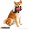 Show in main carousel: NASCAR Red Race Car Driver Plush Dog Toy slide 4 of 6