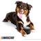 Show in main carousel: NASCAR Ballistic Race Car Tire Tough Dog Chew Toy slide 4 of 7