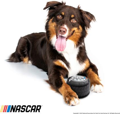 Show full view: NASCAR Ballistic Race Car Tire Tough Dog Chew Toy slide 4 of 7