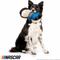 Show in main carousel: NASCAR Blue Pit Crew Plush Dog Toy slide 4 of 6