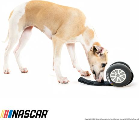 Show full view: NASCAR Race Car Tire Squeaky Treat Dispensing Dog Toy slide 4 of 6