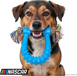 NASCAR Spikey Chew Tough Dog Chew Toy with Rope slide 2 of 6