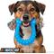 Show in main carousel: NASCAR Spikey Chew Tough Dog Chew Toy with Rope slide 4 of 6