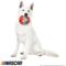 Show in main carousel: NASCAR Ballistic Race Car Helmet with Inner Spike Ball Tough Dog Chew Toy slide 4 of 7