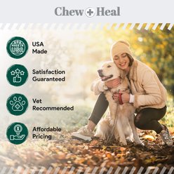 Chew + Heal Advanced Hydrocortisone Medicated Wound Care Spray for Dogs, 4-fl oz bottle slide 2 of 9