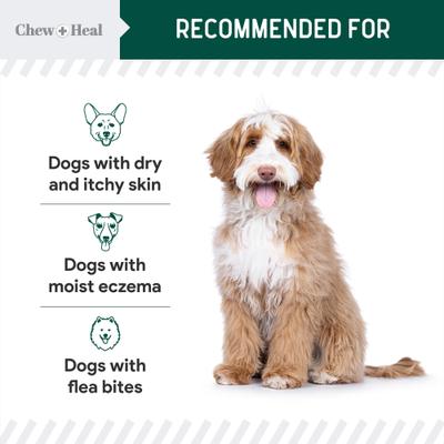 Show full view: Chew + Heal Advanced Hydrocortisone Medicated Wound Care Spray for Dogs, 4-fl oz bottle slide 5 of 11