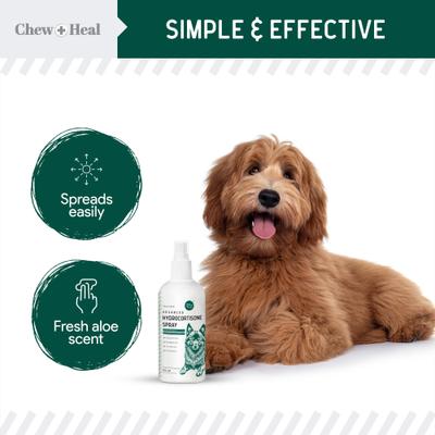 Show full view: Chew + Heal Advanced Hydrocortisone Medicated Wound Care Spray for Dogs, 4-fl oz bottle slide 4 of 11