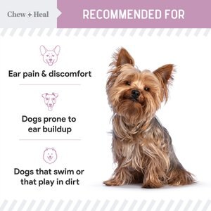 Chew + Heal Advanced Antiseptic Otic Chlorhexidine Ear Flush for Dogs, 12-fl oz bottle