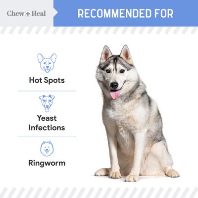 Show full view: Chew + Heal Advanced Chlorhexidine Medicated Wound Care Spray for Dogs, 8-fl oz bottle slide 6 of 11