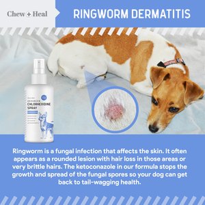 Chew + Heal Advanced Chlorhexidine Medicated Wound Care Spray for Dogs, 8-fl oz bottle