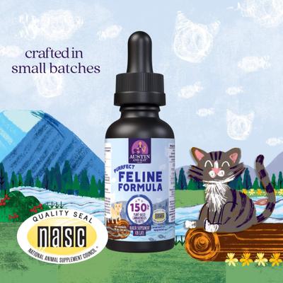 Show full view: Austin and Kat Purrfect Feline 150mg Broad Spectrum Hemp Oil Liquid Supplement for Cats, 1-fl oz bottle slide 3 of 6