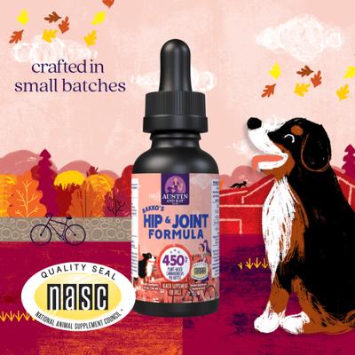 Show full view: Austin and Kat Bakko's Hip & Joint 450mg Broad Spectrum Hemp Oil Liquid Supplement for Dogs, 1-fl oz bottle slide 3 of 6