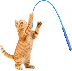 Casfuy Ultra-Light Durable Interactive Mouse Tail Silicone Teaser Wand Cat Toy, Blue