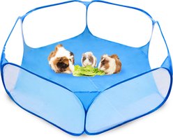 SunGrow Foldable Indoor Guinea Pig & Kitten Ball Pit Playpen Portable Pop-Up Tent for Small Pet, Blue
