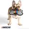 Show in main carousel: NASCAR Ballistic Logo Bone Tough Dog Chew Toy slide 5 of 7