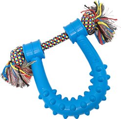 NASCAR Spikey Chew Tough Dog Chew Toy with Rope