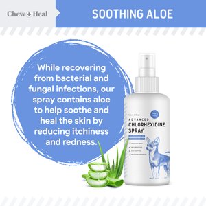 Chew + Heal Advanced Chlorhexidine Medicated Wound Care Spray for Dogs, 8-fl oz bottle