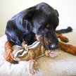 Show in main carousel: SteelDog USA Ropers Chipmunk Squeaky Plush Dog Toy slide 4 of 6