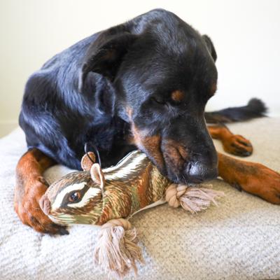 Show full view: SteelDog USA Ropers Chipmunk Squeaky Plush Dog Toy slide 4 of 7