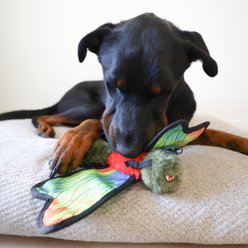 SteelDog USA Ruffian Flyer Dragonfly Tough-Chewer Plush Dog Toy slide 2 of 7