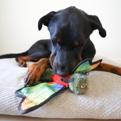 Show full view: SteelDog USA Ruffian Flyer Dragonfly Tough-Chewer Plush Dog Toy slide 6 of 7