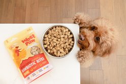 West Paw Chicken Rawbiotic Bites Digestive Health High Protein Dog Food Topper, 6.4-oz bag slide 2 of 9