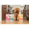 Show in main carousel: West Paw Trout & Beef Rawbiotic Bites Digestive Health High Protein Dog Food Topper, 6.4-oz bag slide 7 of 11