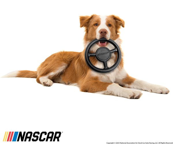 Show full view: NASCAR Chew Race Car Stering Wheel Tough Dog Chew Toy slide 4 of 6