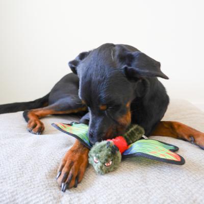 Show full view: SteelDog USA Ruffian Flyer Dragonfly Tough-Chewer Plush Dog Toy slide 4 of 7