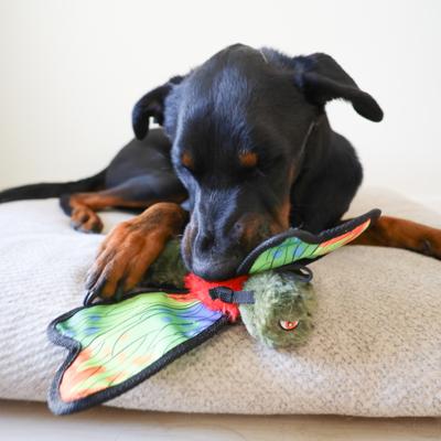 Show full view: SteelDog USA Ruffian Flyer Dragonfly Tough-Chewer Plush Dog Toy slide 2 of 7